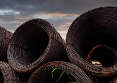 Wire rod