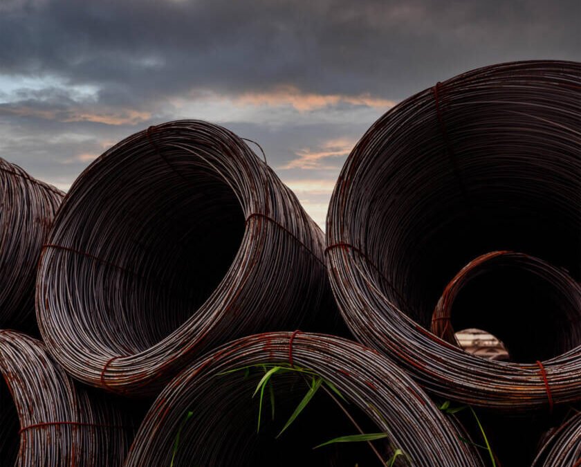 Wire rod